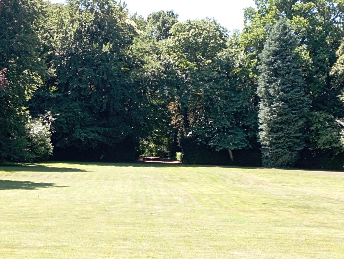 Chateau Du Bois-Riou Quévert Zewnętrze zdjęcie
